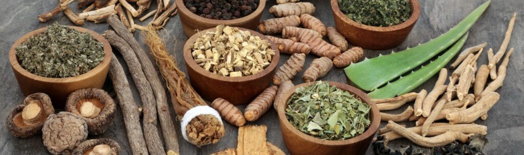 Ayurveda Herbs