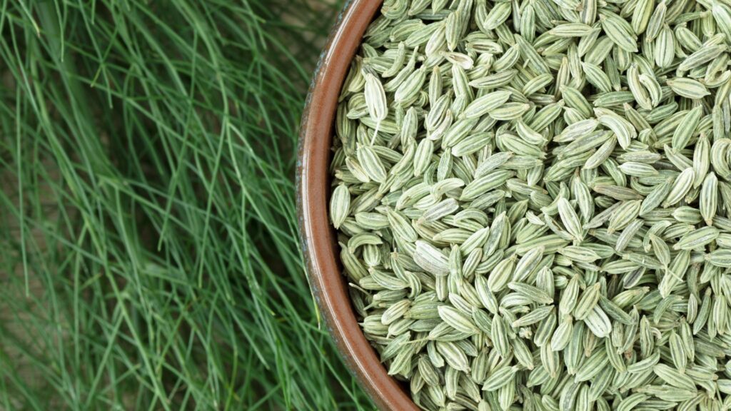 Fennel Seeds