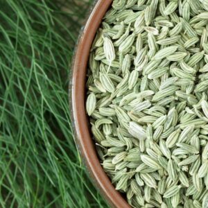 Fennel Seeds