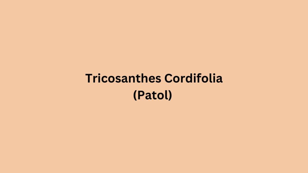 Tricosanthes Cordifolia (Patol)