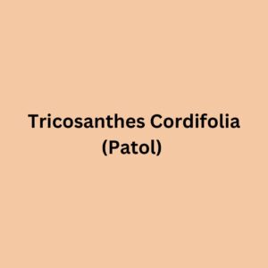 Tricosanthes Cordifolia (Patol)